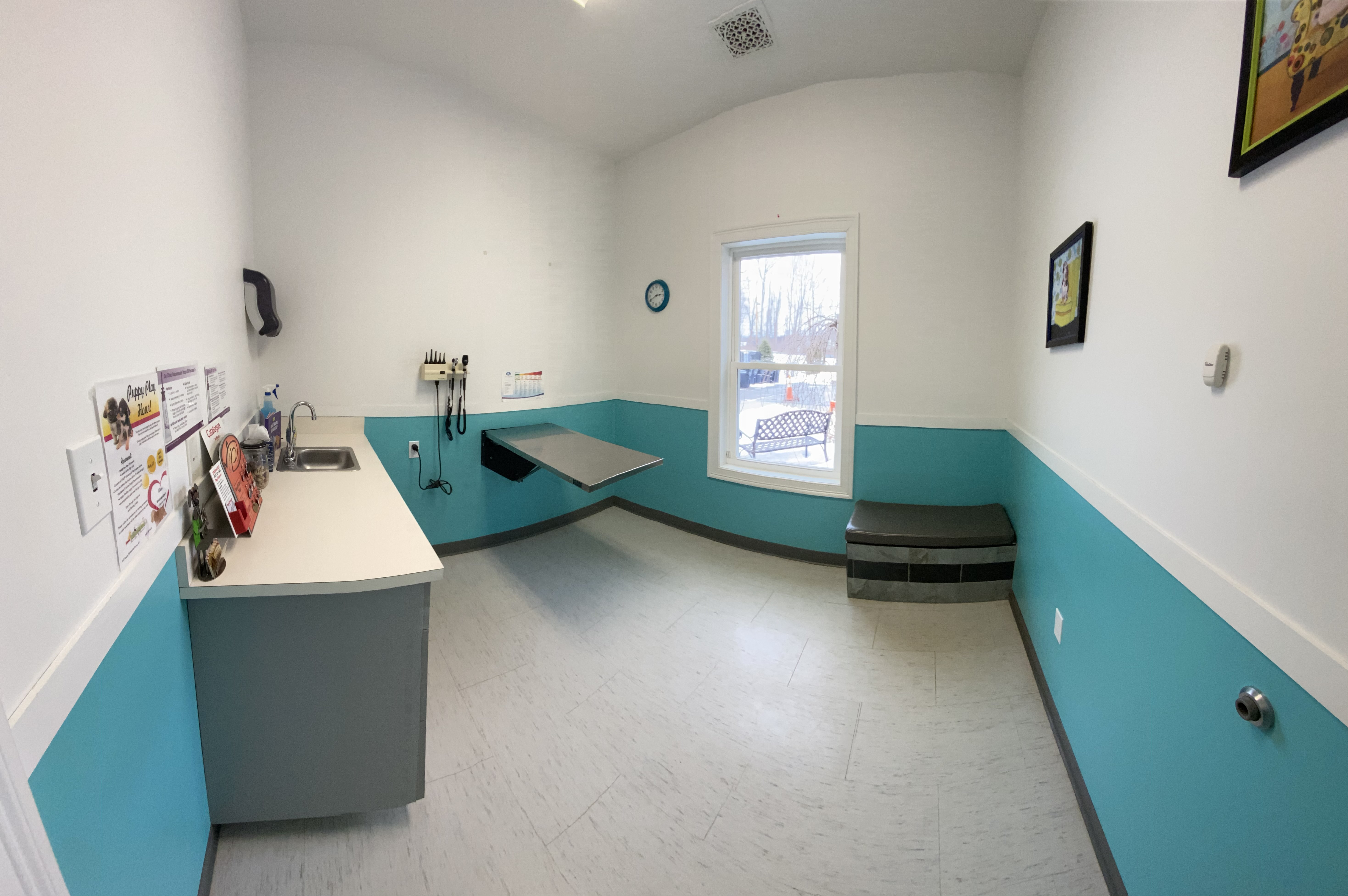 Dog Exam Room 1